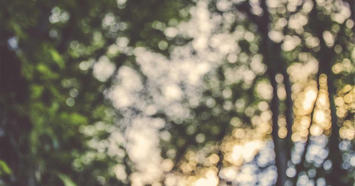 ai image generators guide