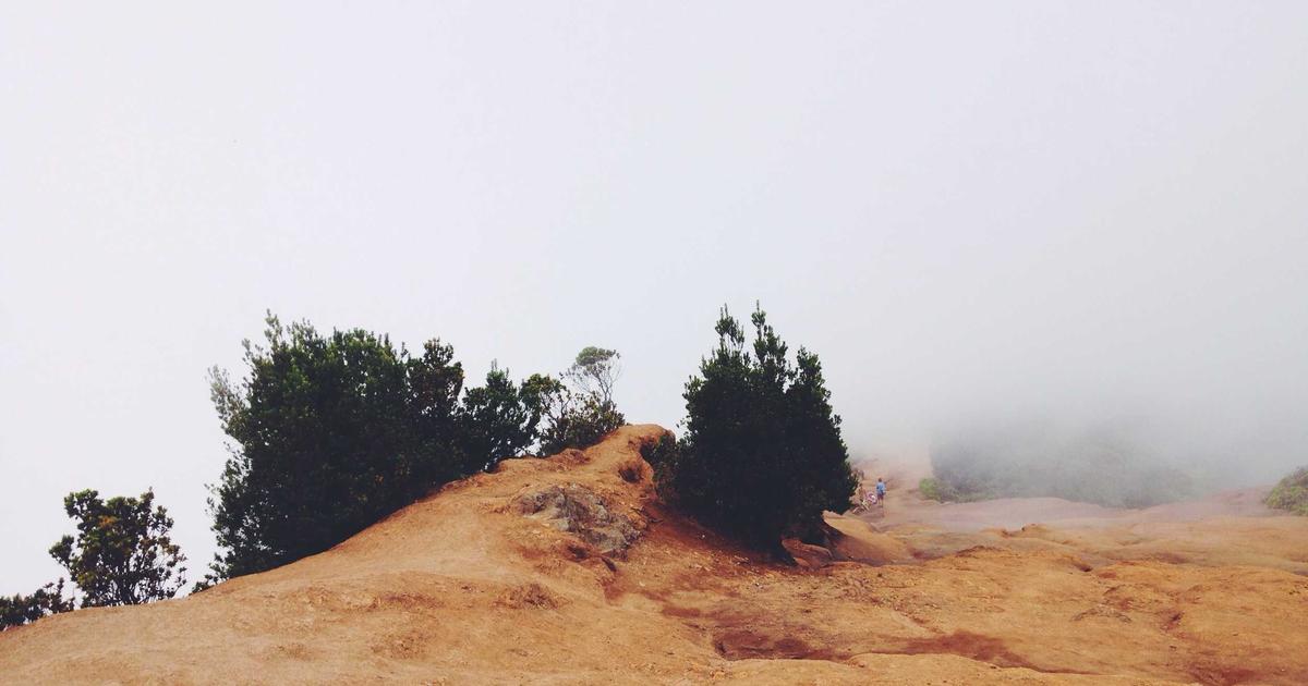 free video editing software