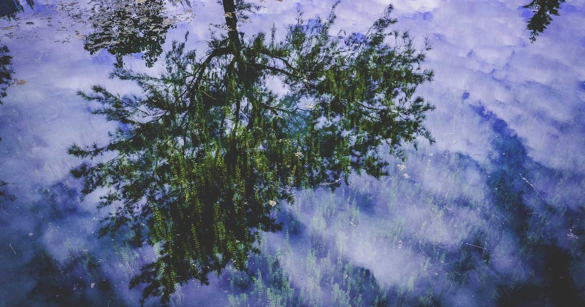 improve writing skills