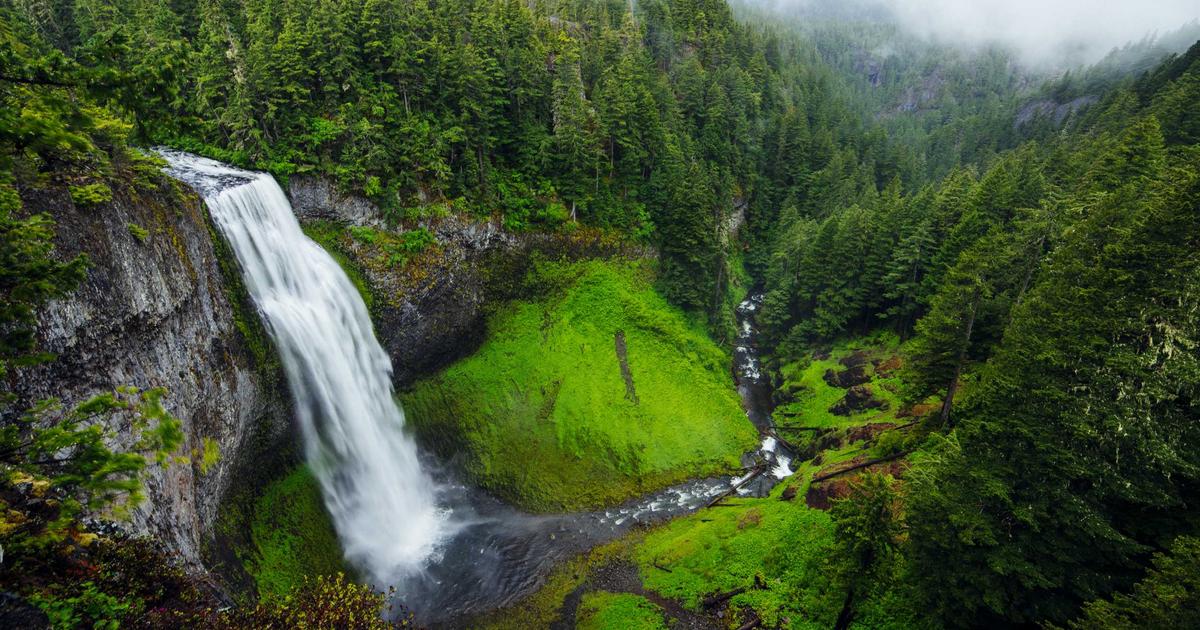 top skills learn online